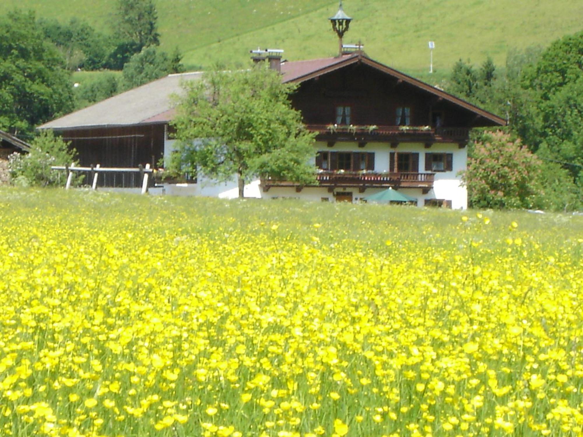 Landgasthof Dorfstadl Kössen Exterior foto